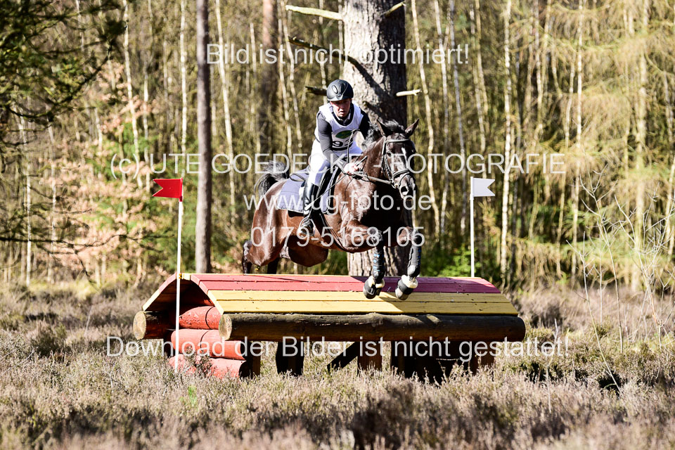 31-3-2019--Luhmühlen-CIC--_469.jpg