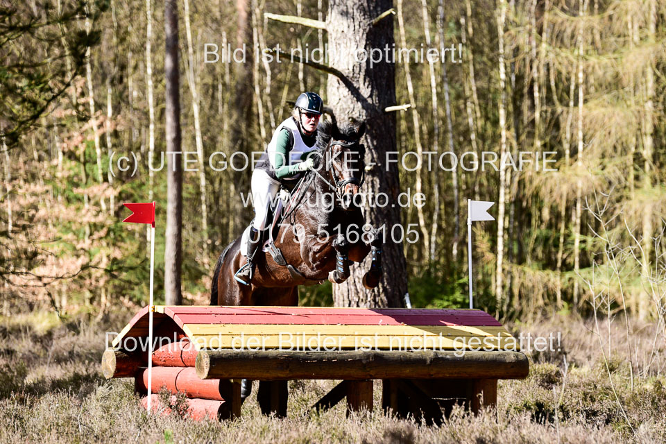 31-3-2019--Luhmühlen-CIC--_475.jpg