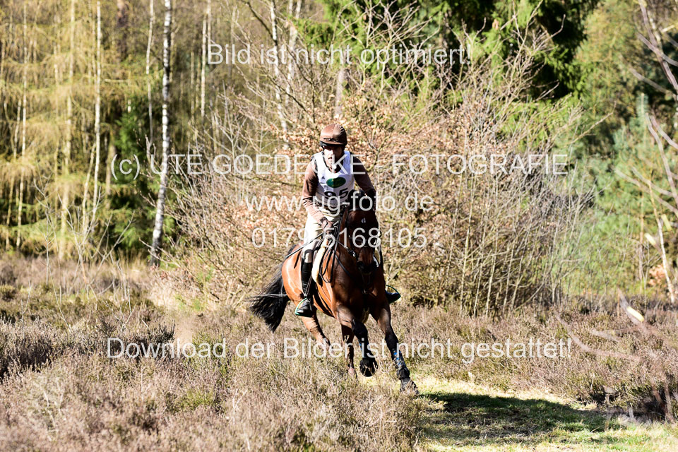 31-3-2019--Luhmühlen-CIC--_485.jpg