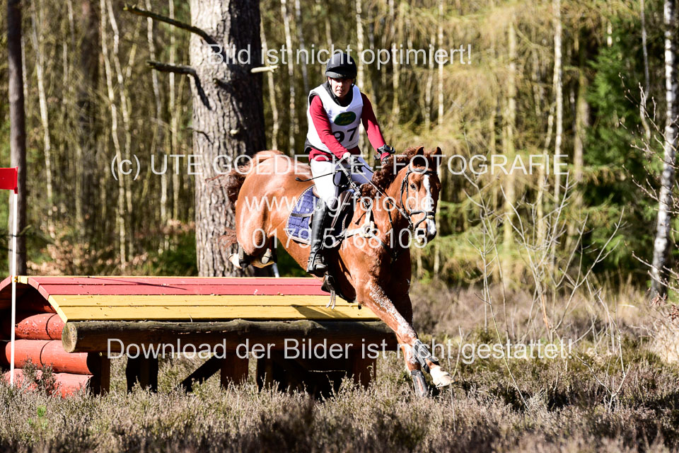 31-3-2019--Luhmühlen-CIC--_488.jpg