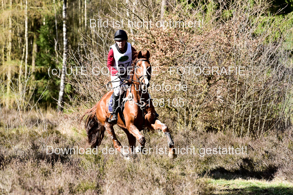 31-3-2019--Luhmühlen-CIC--_490.jpg