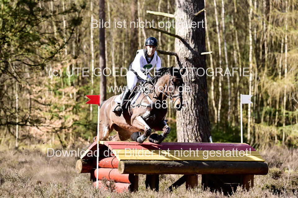 31-3-2019--Luhmühlen-CIC--_494.jpg