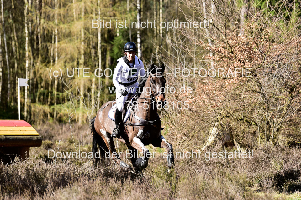 31-3-2019--Luhmühlen-CIC--_495.jpg