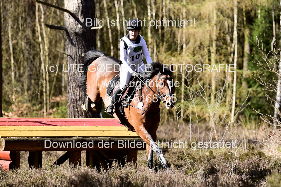 31-3-2019--Luhmühlen-CIC--_501.jpg
