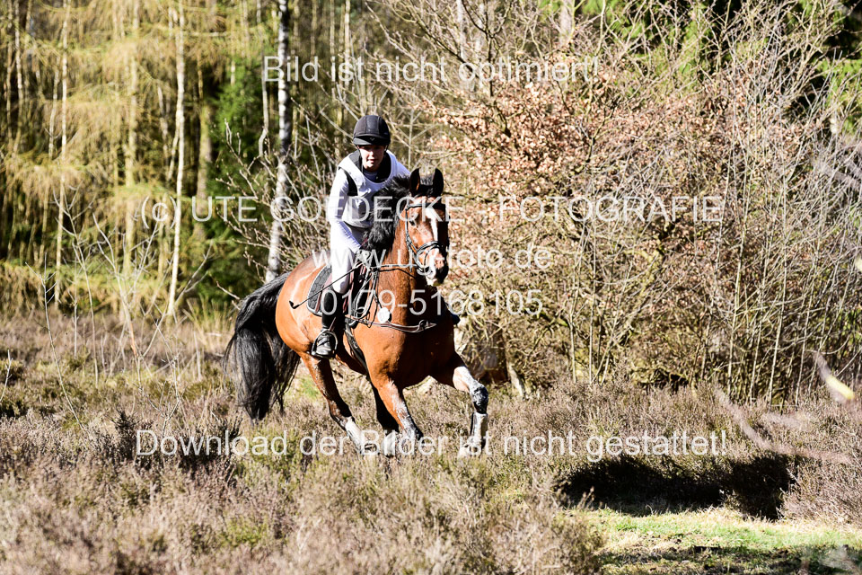 31-3-2019--Luhmühlen-CIC--_502.jpg