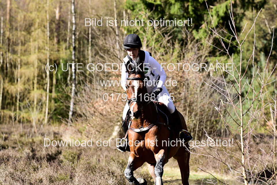 31-3-2019--Luhmühlen-CIC--_503.jpg