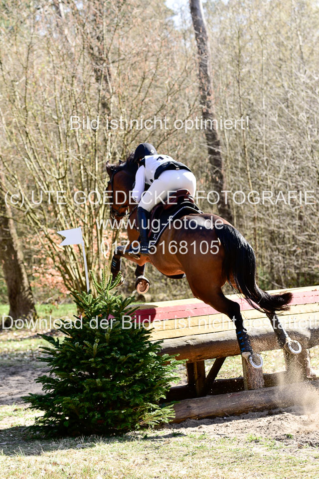31-3-2019--Luhmühlen-CIC--_505.jpg
