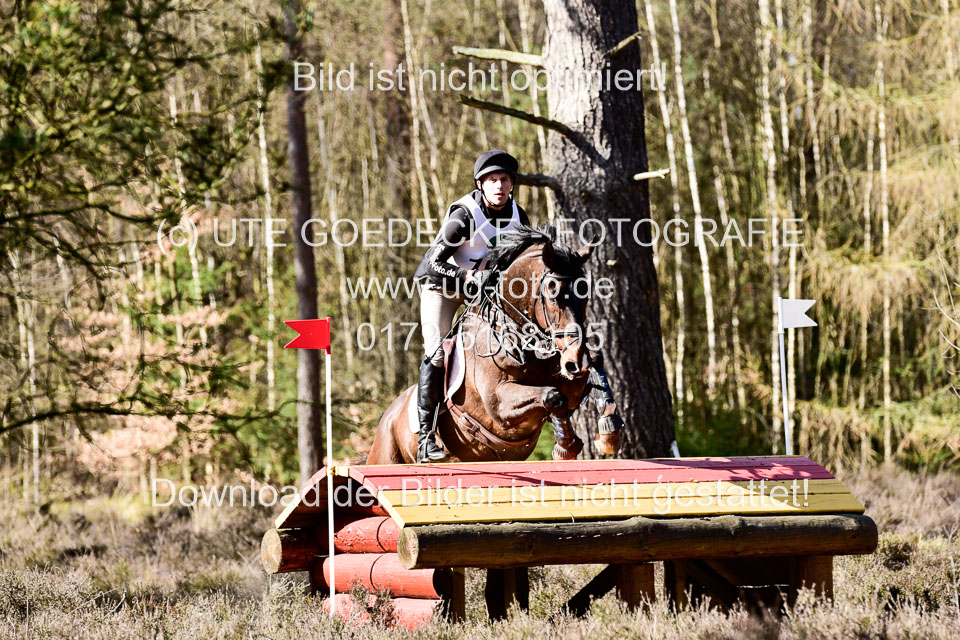 31-3-2019--Luhmühlen-CIC--_506.jpg