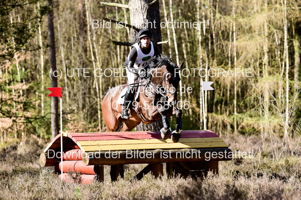 31-3-2019--Luhmühlen-CIC--_507.jpg