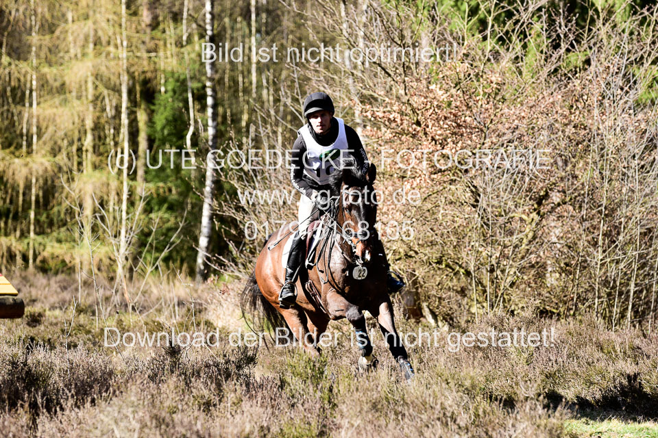 31-3-2019--Luhmühlen-CIC--_509.jpg