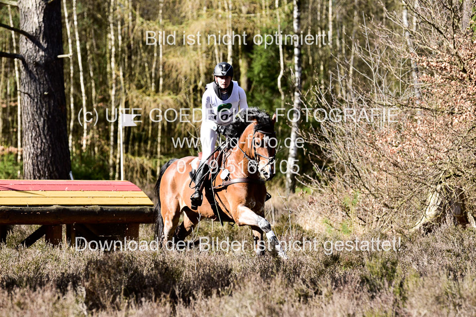 31-3-2019--Luhmühlen-CIC--_512.jpg
