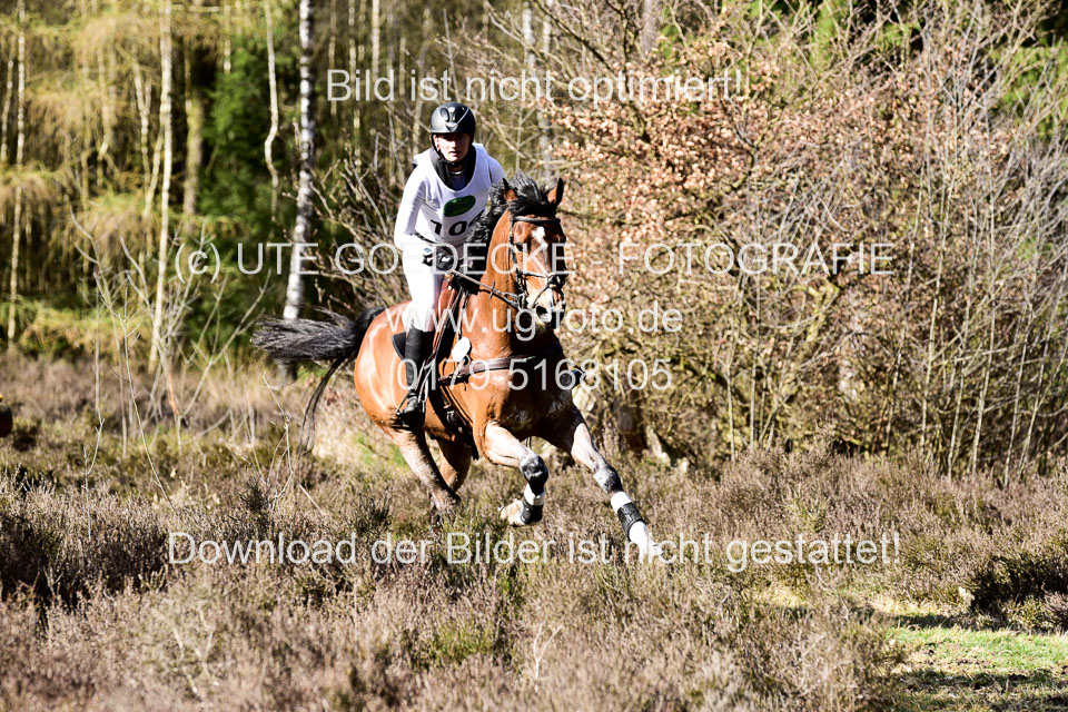31-3-2019--Luhmühlen-CIC--_513.jpg