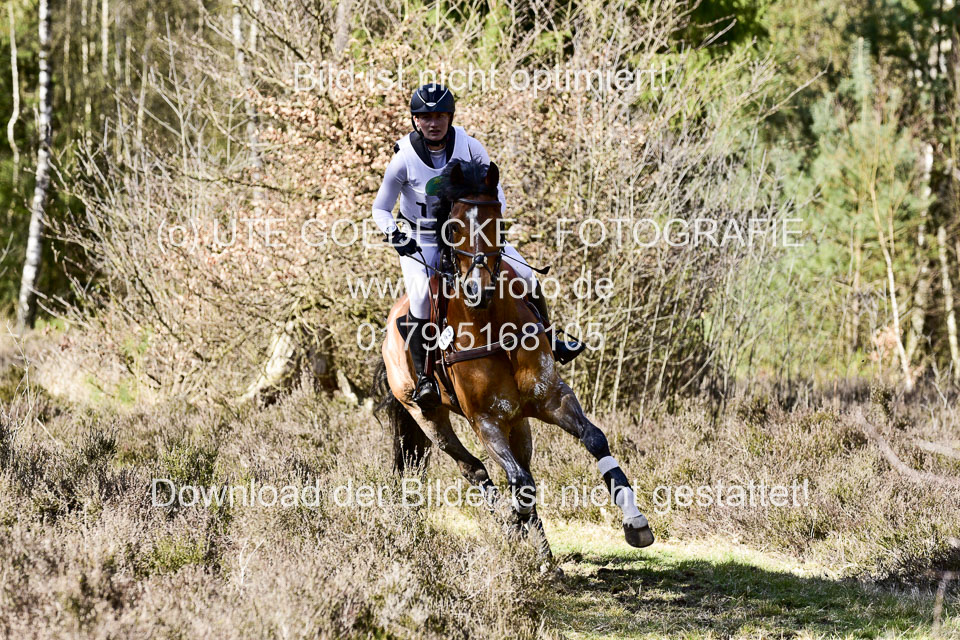 31-3-2019--Luhmühlen-CIC--_514.jpg