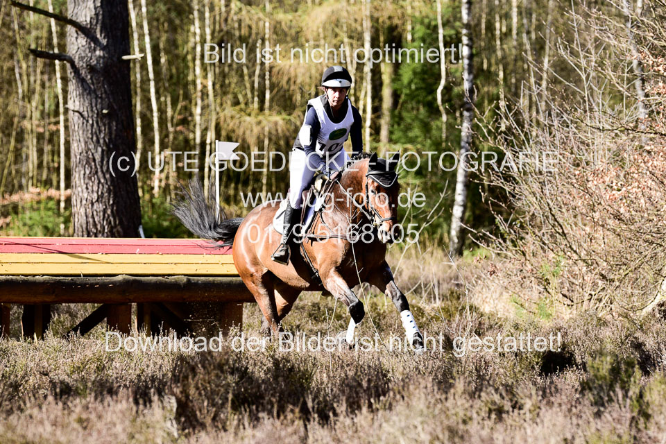31-3-2019--Luhmühlen-CIC--_517.jpg