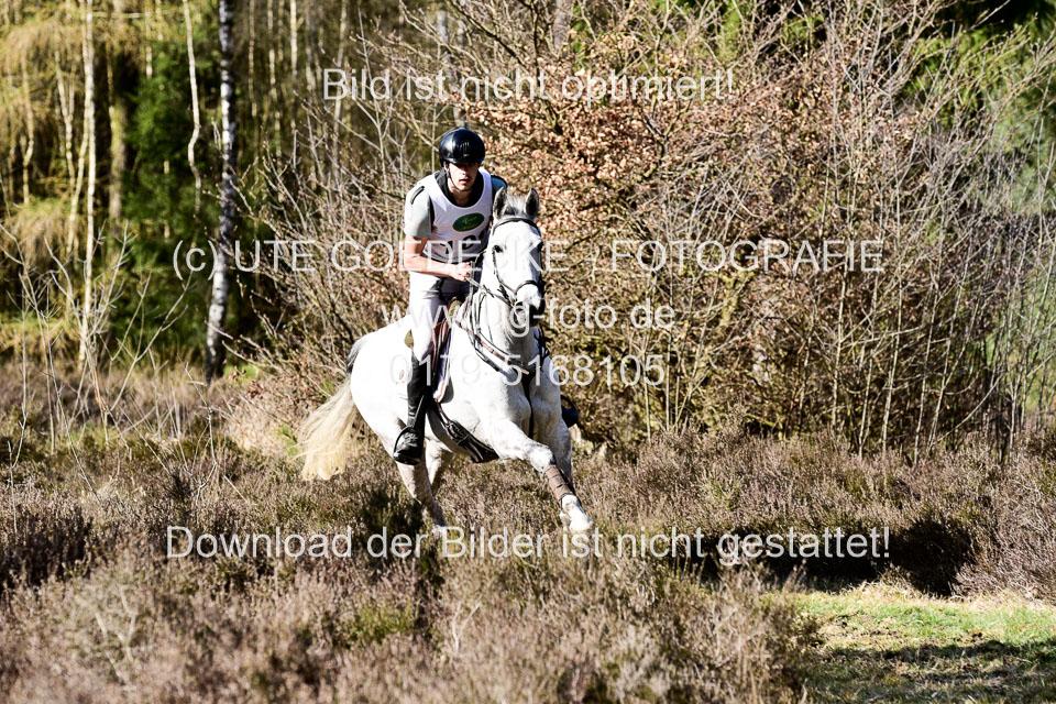 31-3-2019--Luhmühlen-CIC--_523.jpg