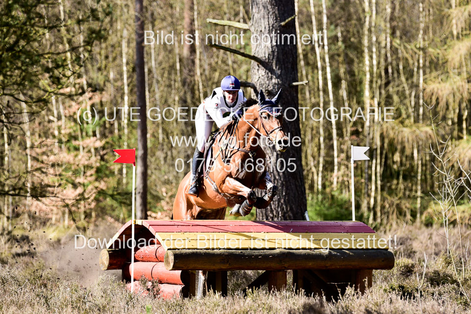 31-3-2019--Luhmühlen-CIC--_526.jpg