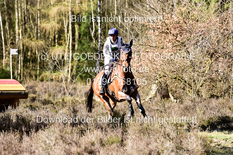 31-3-2019--Luhmühlen-CIC--_529.jpg