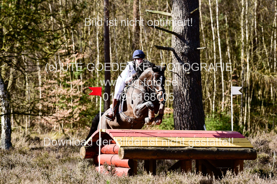 31-3-2019--Luhmühlen-CIC--_532.jpg