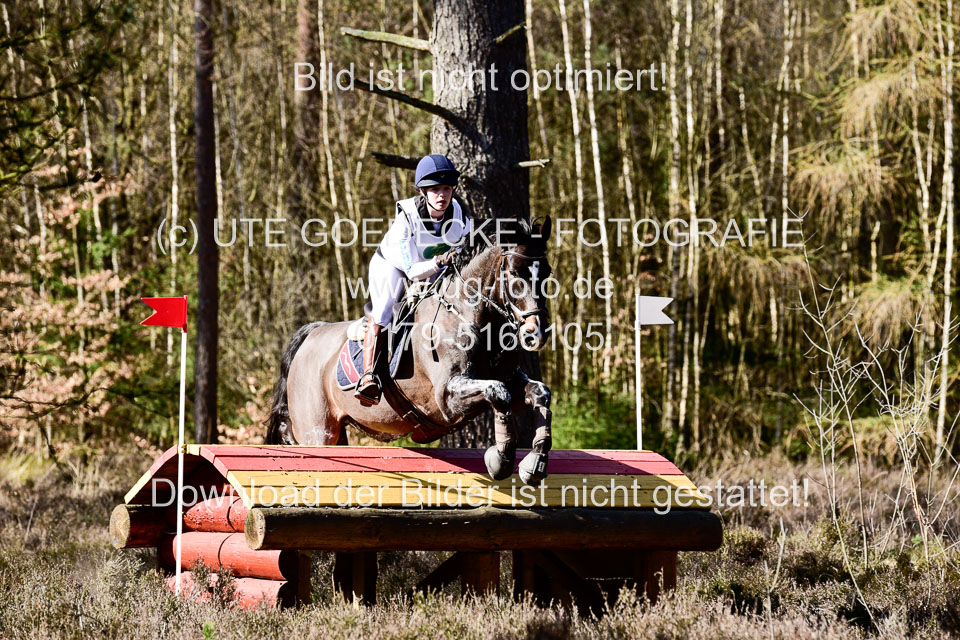 31-3-2019--Luhmühlen-CIC--_533.jpg