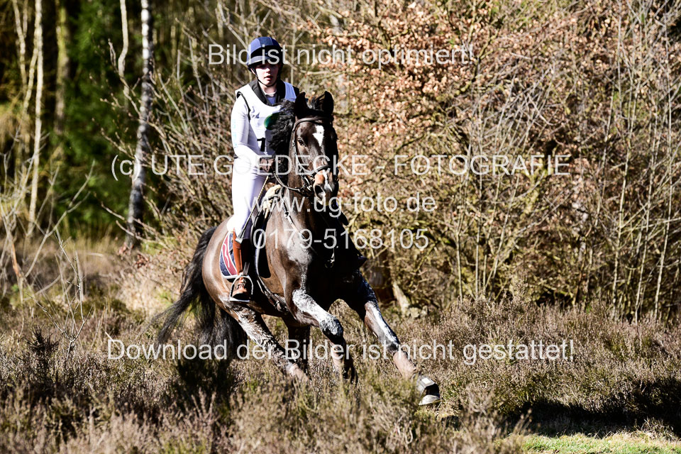 31-3-2019--Luhmühlen-CIC--_536.jpg