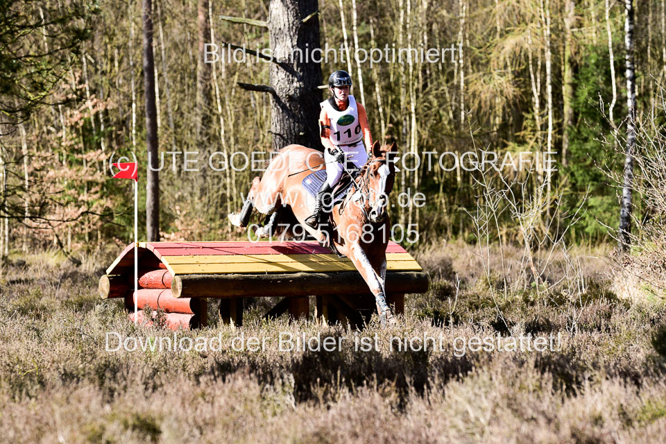 31-3-2019--Luhmühlen-CIC--_547.jpg