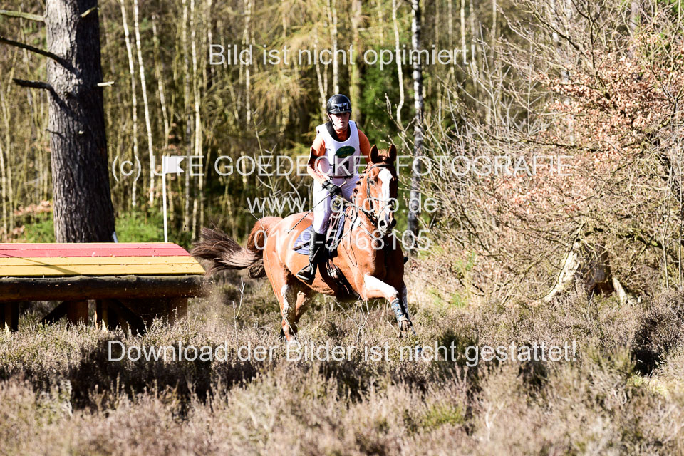 31-3-2019--Luhmühlen-CIC--_548.jpg