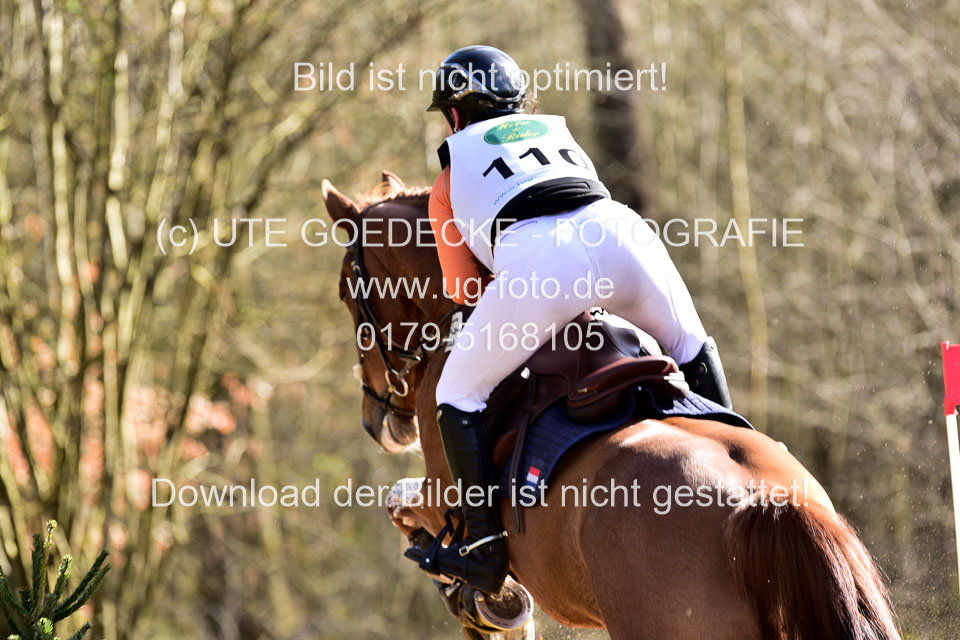 31-3-2019--Luhmühlen-CIC--_550.jpg