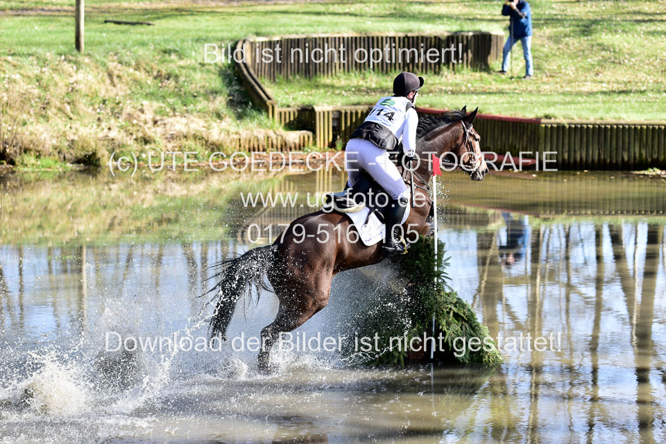 31-3-2019--Luhmühlen-CIC--_557.jpg
