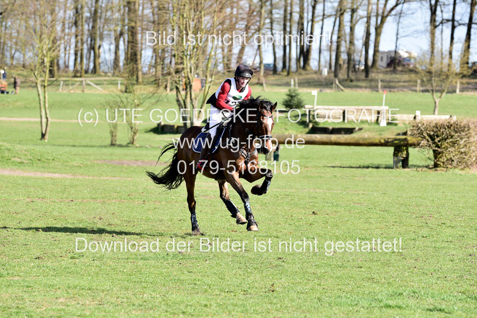 31-3-2019--Luhmühlen-CIC--_597.jpg