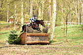31-3-2019--Luhmühlen-CIC--_101.jpg