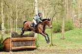 31-3-2019--Luhmühlen-CIC--_115.jpg