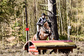 31-3-2019--Luhmühlen-CIC--_506.jpg