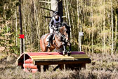 31-3-2019--Luhmühlen-CIC--_507.jpg