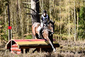 31-3-2019--Luhmühlen-CIC--_508.jpg