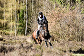 31-3-2019--Luhmühlen-CIC--_509.jpg