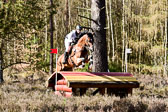 31-3-2019--Luhmühlen-CIC--_510.jpg
