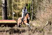 31-3-2019--Luhmühlen-CIC--_512.jpg
