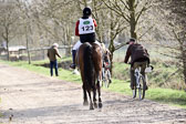 31-3-2019--Luhmühlen-CIC--_602.jpg