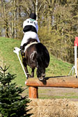 31-3-2019--Luhmühlen-CIC--_605.jpg