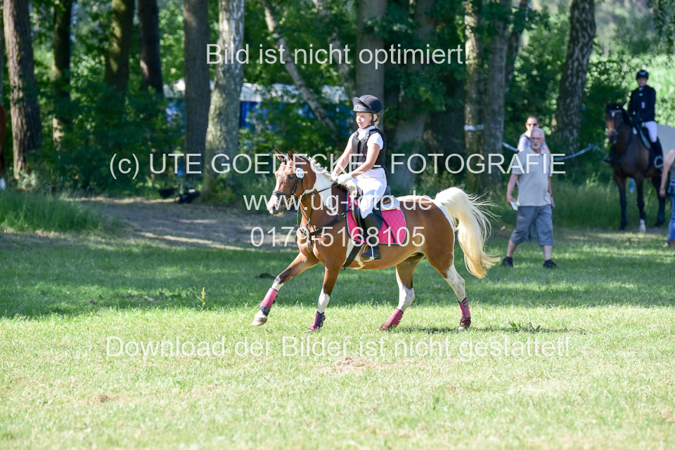 Gelände-Reiter-WB_010.jpg