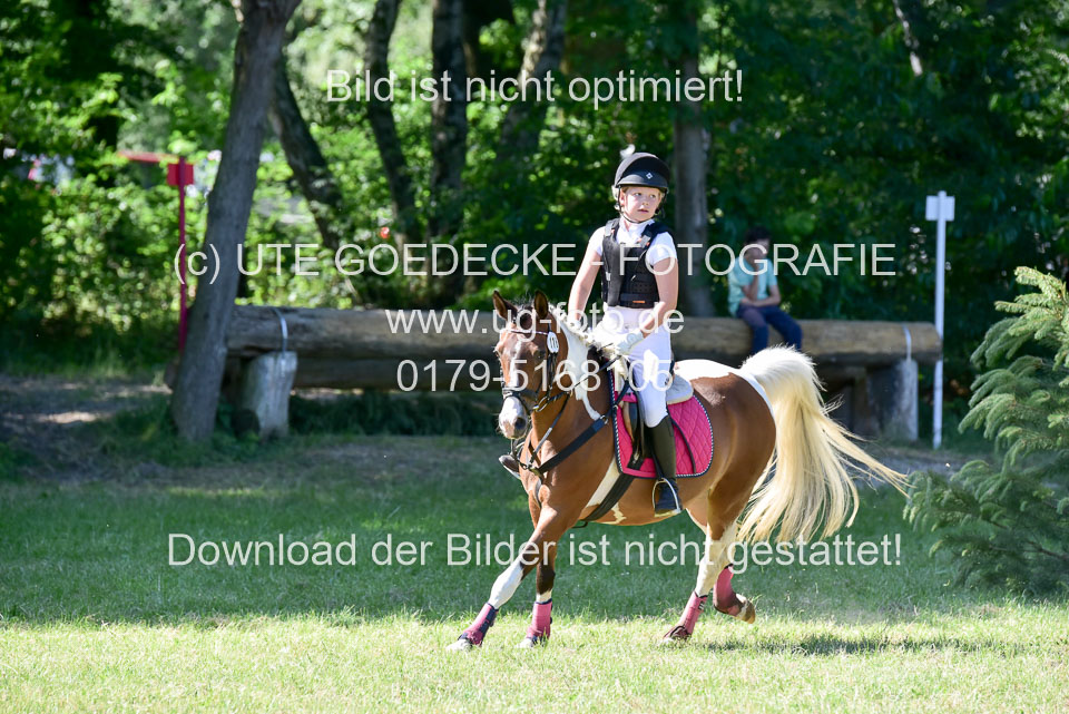 Gelände-Reiter-WB_013.jpg