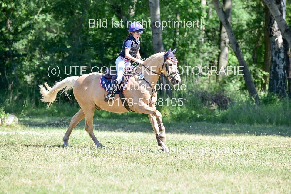 Gelände-Reiter-WB_050.jpg