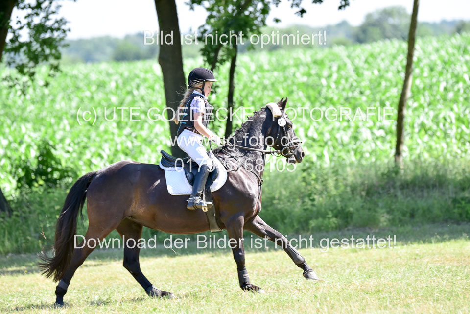 Gelände-Reiter-WB_082.jpg