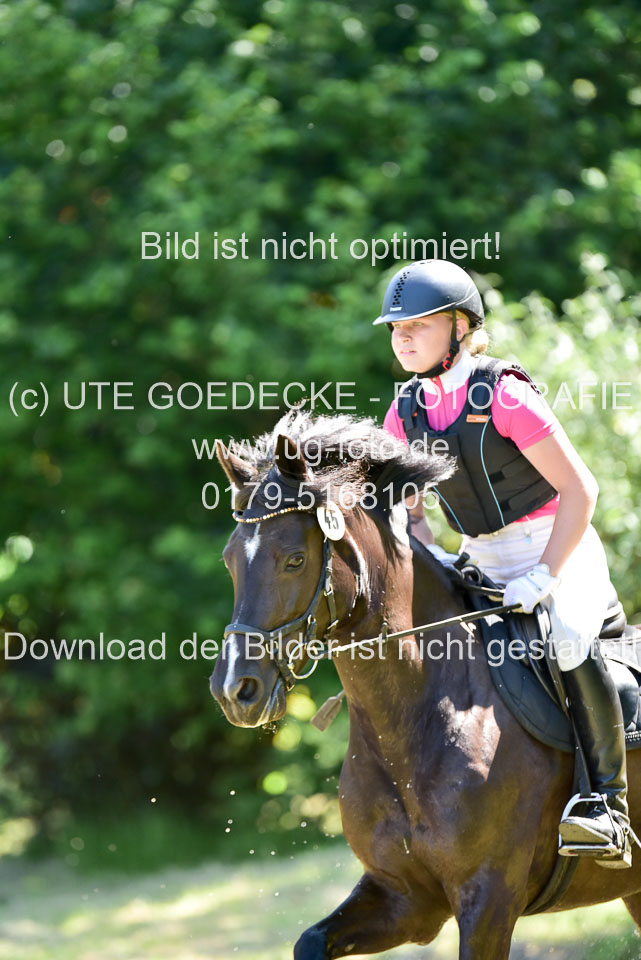 Gelände-Reiter-WB_151.jpg