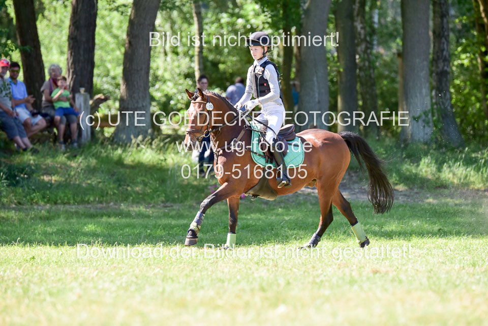 Gelände-Reiter-WB_159.jpg
