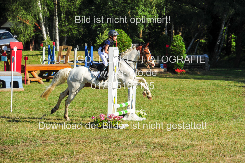 Gelände-Reiter-WB_260.jpg