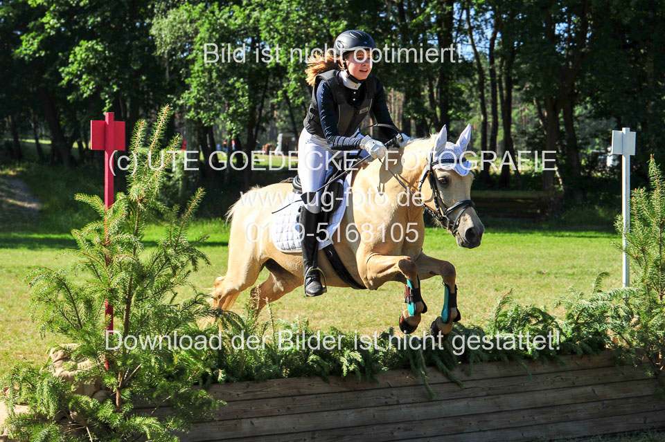 Gelände-Reiter-WB_264.jpg