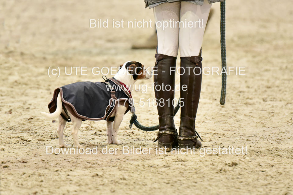 Impressionen-12-2019-_101.jpg