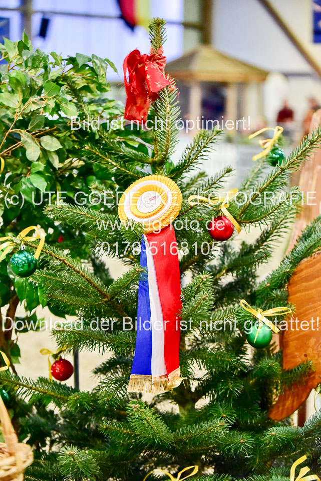 Impressionen-12-2019-_111.jpg