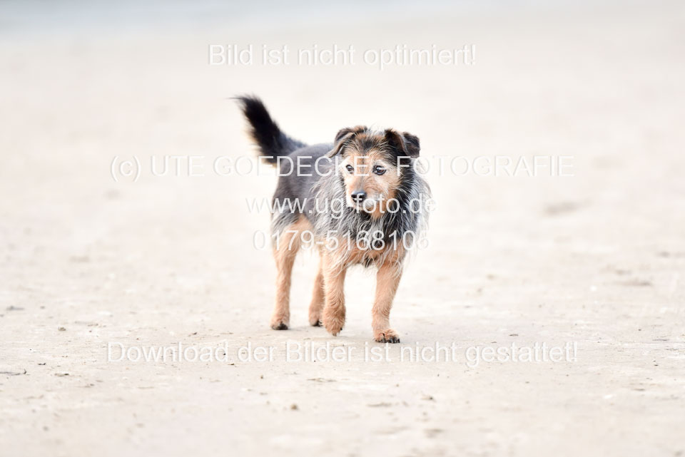 Impressionen-12-2019-_160.jpg